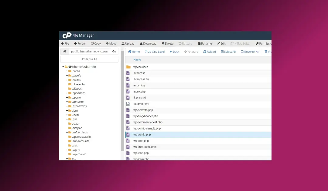 Como Criar uma Tarefa de Agendamento no WordPress Utilizando o cPanel – Dicas para Blogs